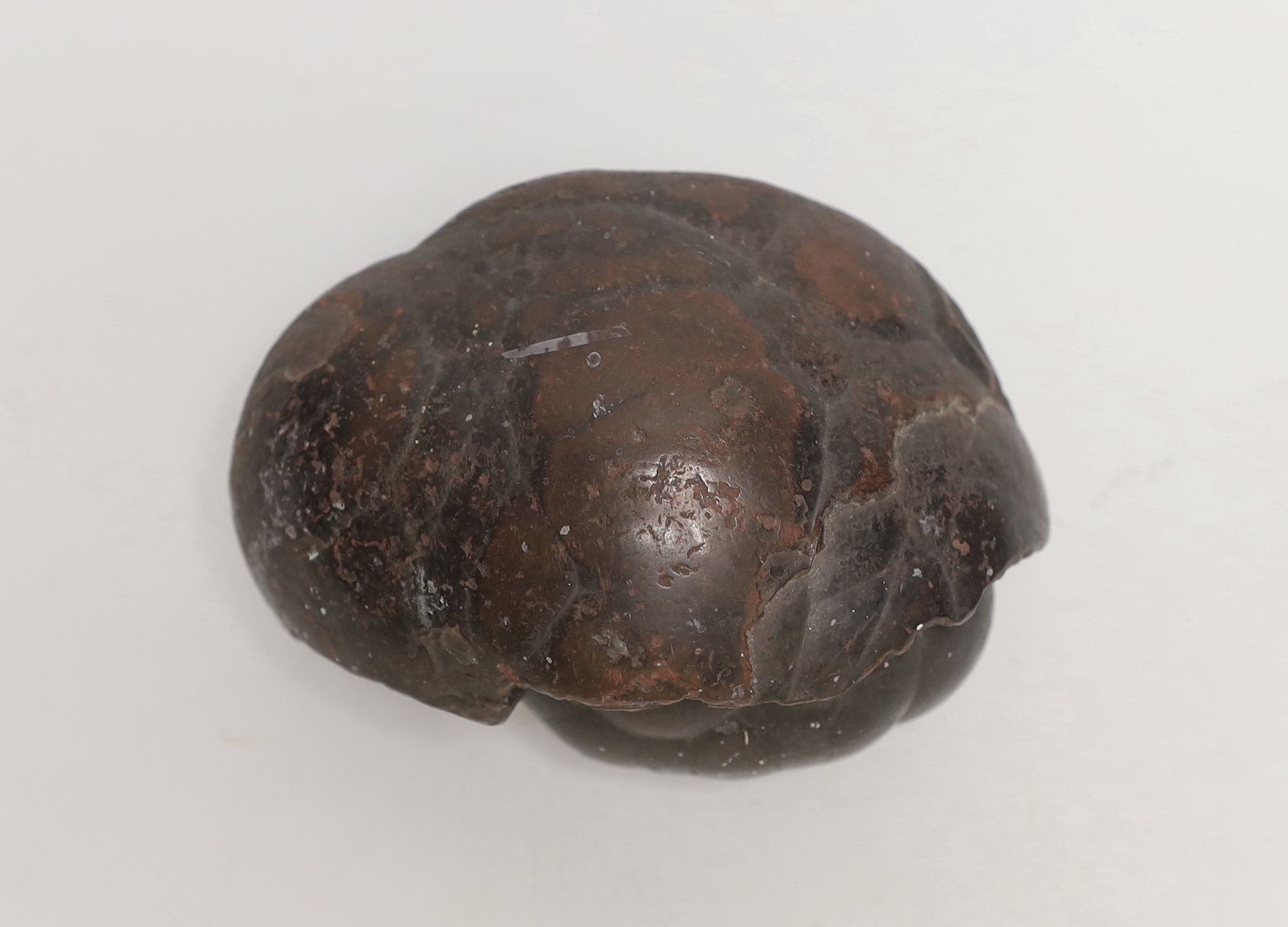 A botryoidal hematite cluster, 13cm